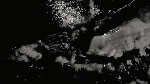 Black And White Person Swimming GIF