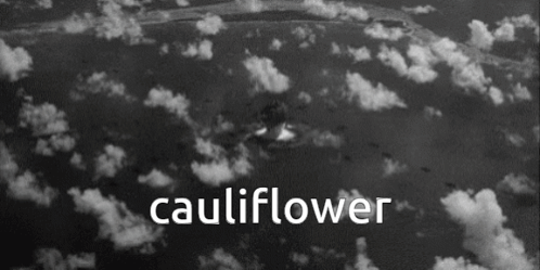 Black and White Photo Cauliflower
