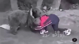 Black And White Photo Of Child Attacked By Dog GIF