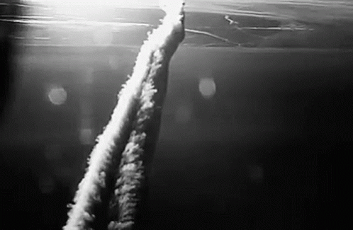 Black and White Photo of Jet Flying