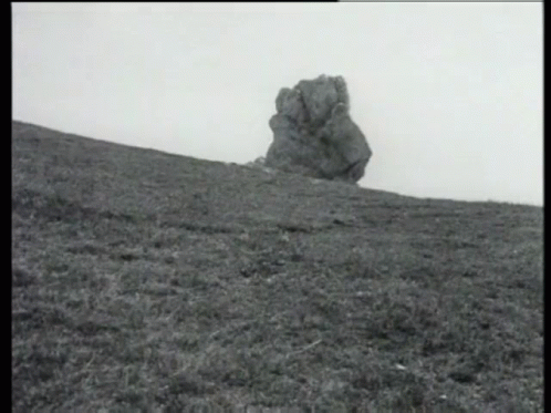 Black and White Photo of Rock in Grassy Field