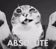 Black and White Photo of Three Cats with Text Absolute