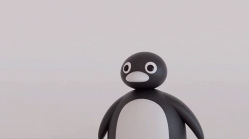 Black And White Pingu Noot Noot GIF