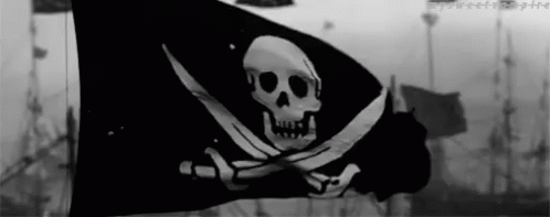 Black and White Pirate Flag with Skull and Crossbones