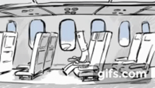 Black and White Plane With Seats and Windows