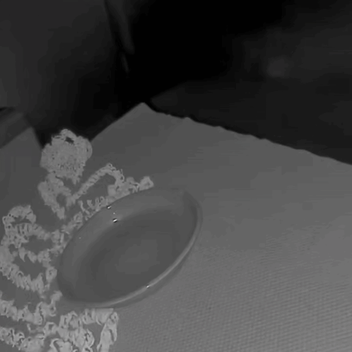 Black and White Plate on Tablecloth