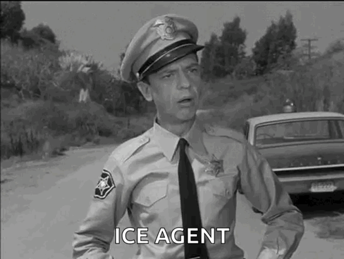 Black And White Police Officer Talking By Car GIF