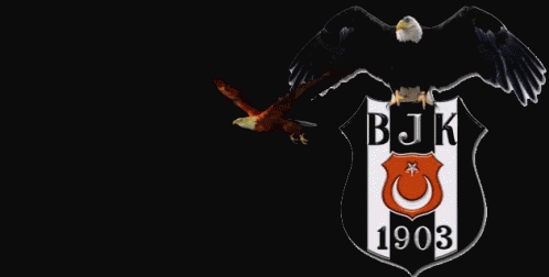 Black and White Poster Saying Eagles Just Lost