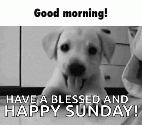 Black and White Puppy Saying Good Morning Sunday