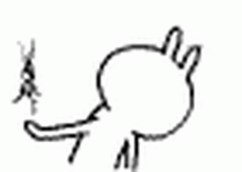 Black And White Rabbit With Stick In Mouth GIF