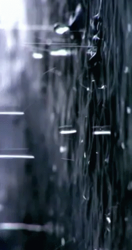 Black And White Rain Drops On Window GIF