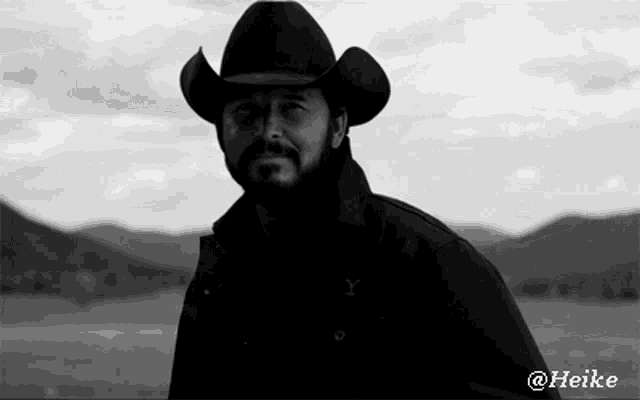 Black And White Rip Yellowstone GIF