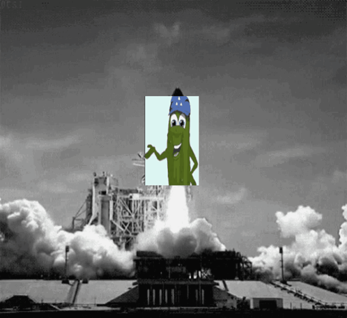 Black And White Rocket Launch With Pickle GIF