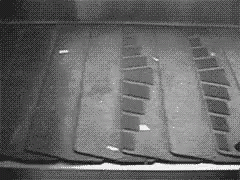 Black and White Roof With Holes