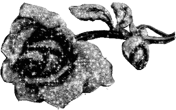 Black and White Rose Drawing with Sparkles