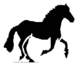 Black and White Running Horse Silhouette