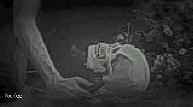 Black And White Skull GIF