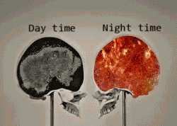 Black and White Skull Day Time Night Time