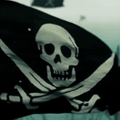 Black and White Skull Pirate Flag