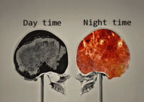 Black and White Skull With Words Day Time and Night Time
