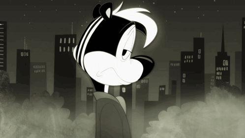 Black and White Skunk With City Background