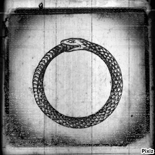Black and White Snake in a Circle with Pixiz