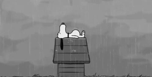 Black and White Snoopy Laying on Doghouse in Rain