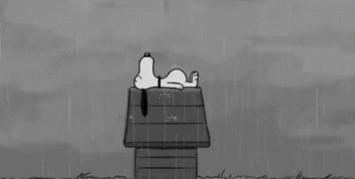 Black and White Snoopy Lying on Wooden House in Rain