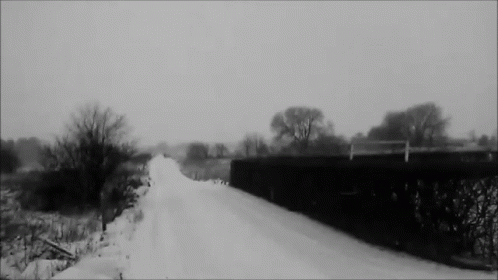Black and White Snowy Road with Trees