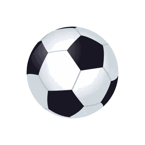 Black and White Soccer Ball