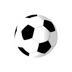 Black and White Soccer Ball