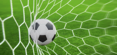 Black and White Soccer Ball in Goal Net