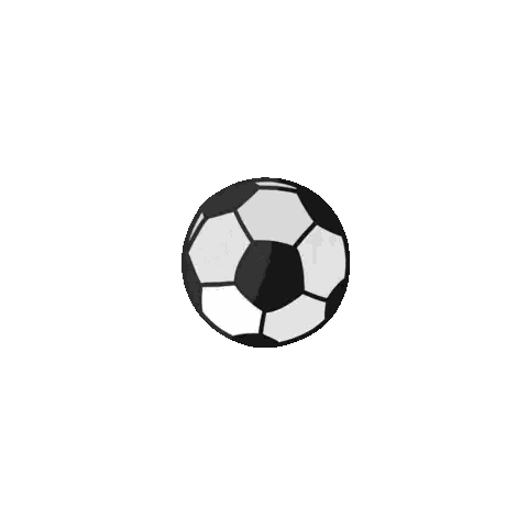Black And White Soccer Ball