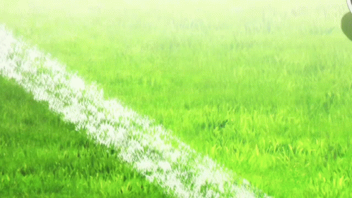 Black and White Soccer Ball on Field