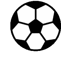 Black and White Soccer Ball Silhouette