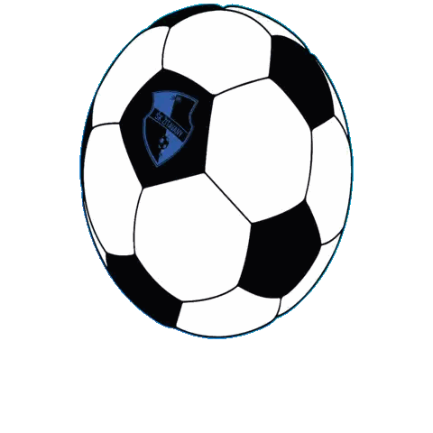 Black and White Soccer Ball With St. Louis Shield