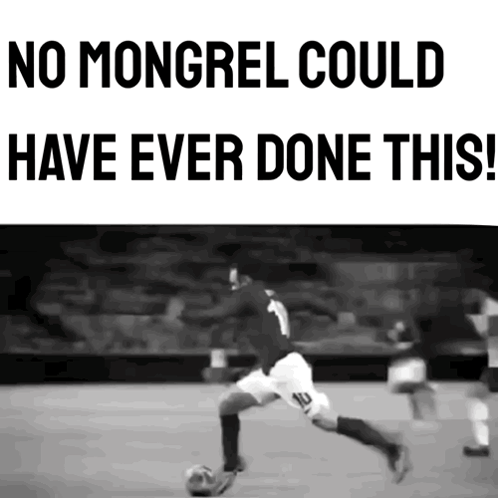 Black and White Soccer Player No Mongrel Could Have Ever Done This