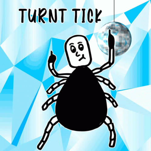 Black and White Spider with Turnt Tick