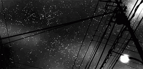 Black And White Starry Night Sky With Telephone Wires And Street Light GIF