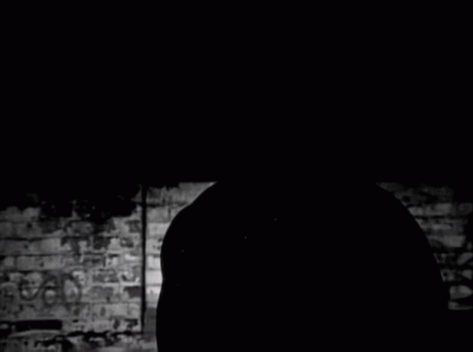 Black And White Stone Cold Steve Austin GIF