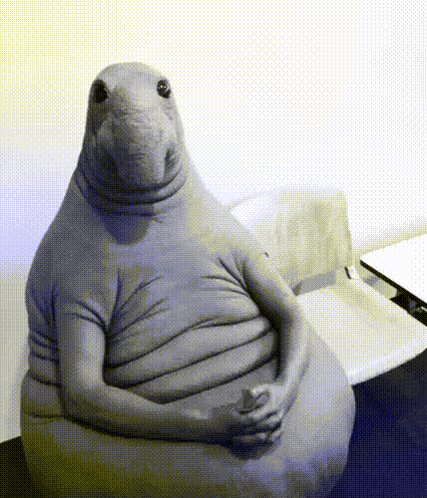 Black and White Stuffed Animal With Folded Hands