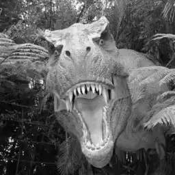 Black and White T-Rex Dinosaur With Open Mouth