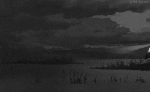 Black and White Train in Field