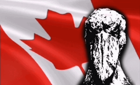 Black and White Turkey With Canadian Flag