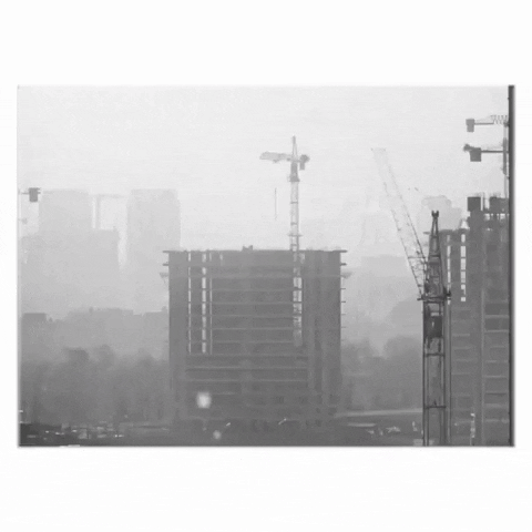 Black And White Videos Of Wendigo And Butterfly GIF