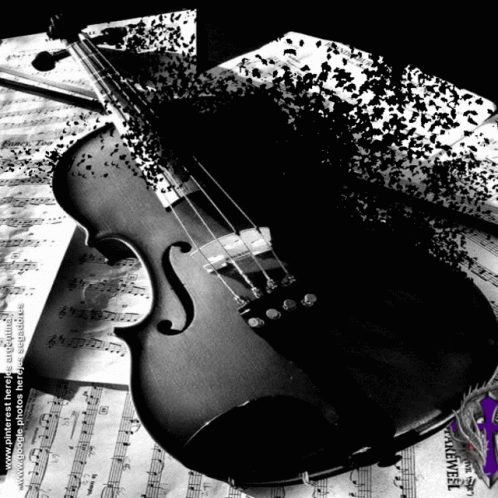 Black and White Violin on Sheet Music www.pinterest-photos.com