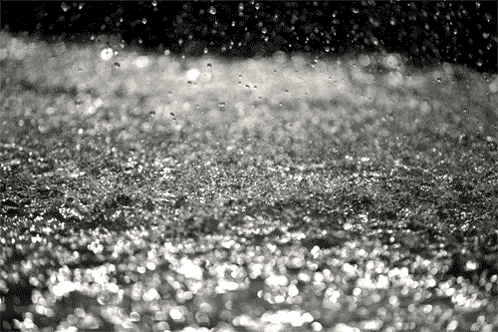 Black And White Water Drops Falling On Ground GIF