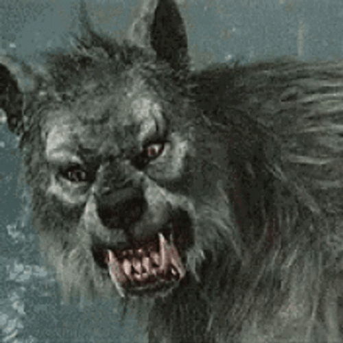 Black And White Werewolf Snarling GIF