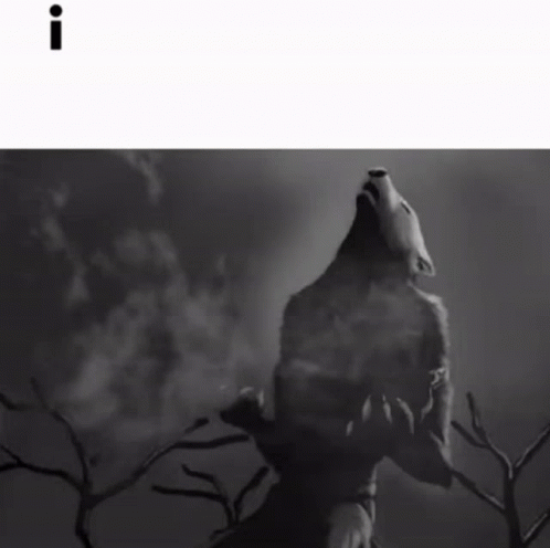Black And White Werewolf With I GIF