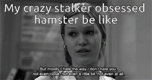 Black And White Woman My Crazy Stalker Obsessed Hamster Be Like GIF